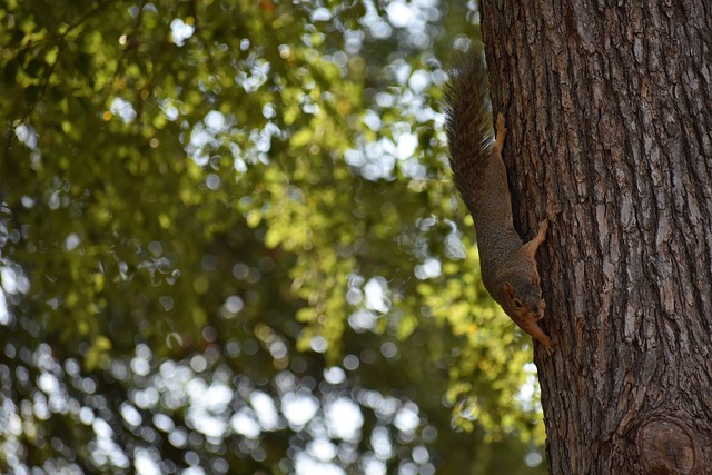 被忽视的方 被忽视的方