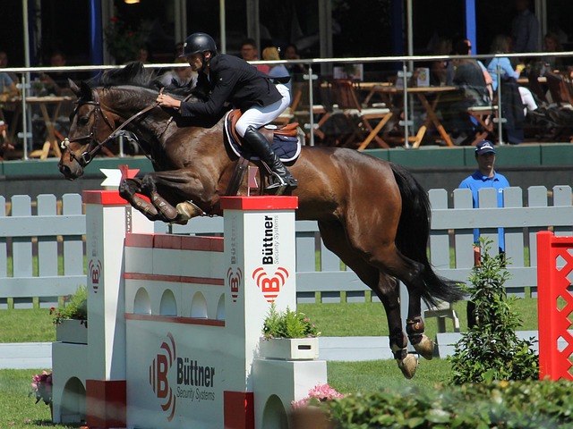 而是积极寻 而是积极寻