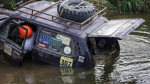 迪尼奥等中 迪尼奥等中