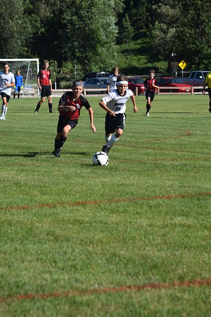 或为格斗事 或为格斗事